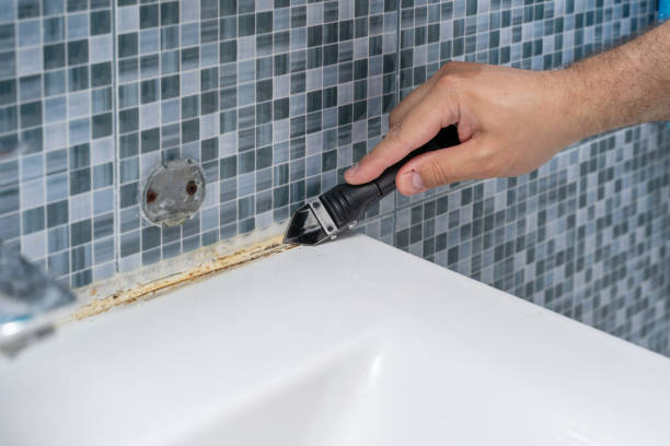 Best Black Mold Removal  in Woodville, FL